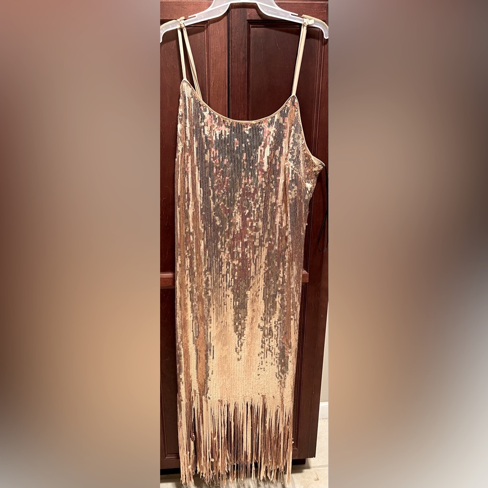 COPY - Forever21 Plus Glam Dress